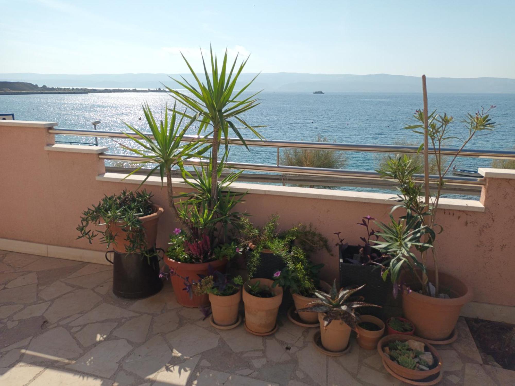Apartmán Cici Dugi Rat Exteriér fotografie